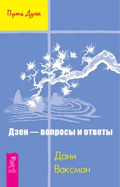 Дани Ваксман Дзен – вопросы и ответы обложка книги