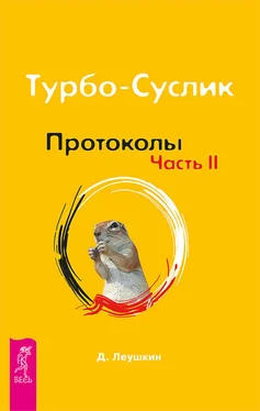 Дмитрий Леушкин Турбо-Суслик. Протоколы. Часть II обложка книги