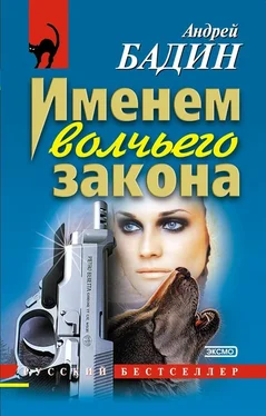 Андрей Бадин Именем волчьего закона обложка книги