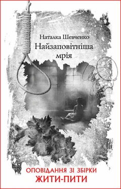 Наталка Шевченко Найзаповітніша мрія обложка книги