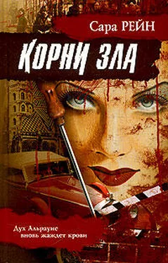 Сара Рейн Корни зла обложка книги