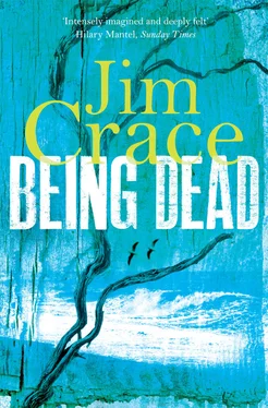 Jim Crace Being Dead обложка книги