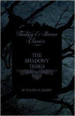 Ellen Glasgow The Shadowy Third обложка книги