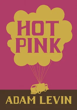 Adam Levin Hot Pink обложка книги