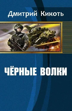 Дмитрий Кикоть Черные волки обложка книги