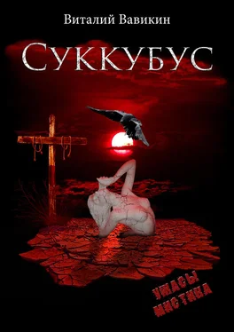 Виталий Вавикин Суккубус обложка книги