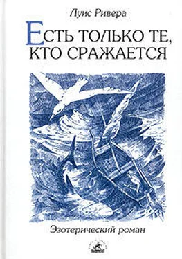 Луис Ривера Есть только те, кто сражается обложка книги