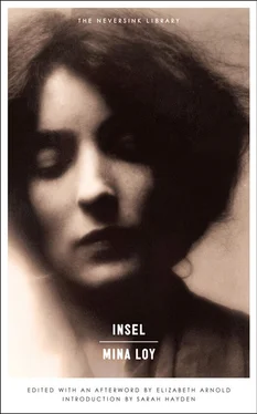 Mina Loy Insel обложка книги