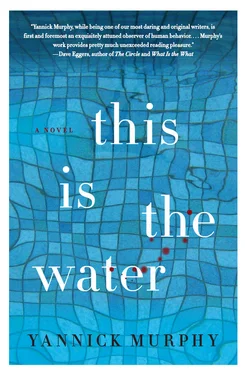 Yannick Murphy This is the Water обложка книги