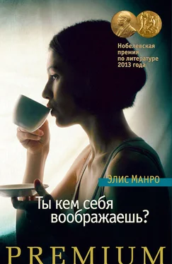 Элис Манро Ты кем себя воображаешь? обложка книги