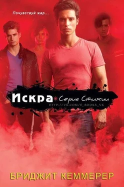 Бриджид Кеммерер Искра (ЛП) обложка книги