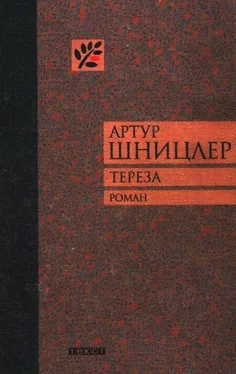 Артур Шницлер Тереза обложка книги