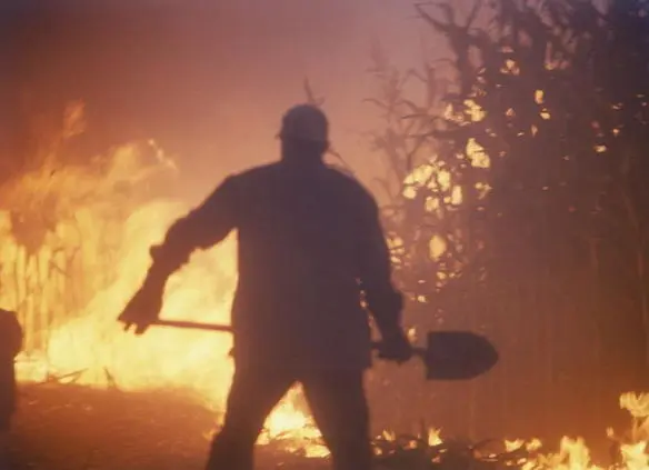 Fig 34 Burning blighted corn From Interstellar used courtesy of Warner - фото 22
