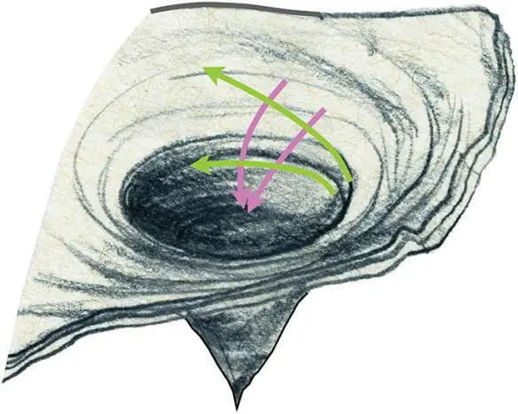 Fig 46 Four paths for planetary motion in the vicinity of a black hole The - фото 34