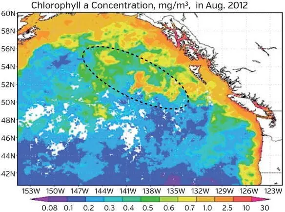 Fig 112 Map of chlorophyll concentration algae after dumping 100 tons of - фото 93