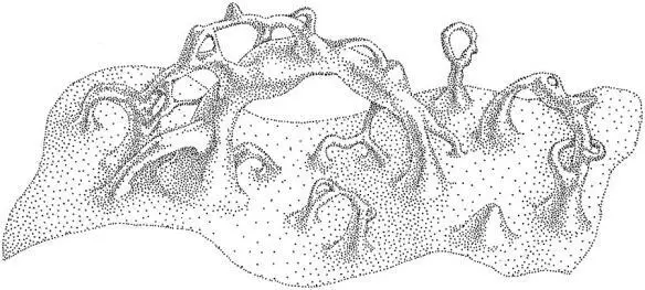 Fig 147 Quantum foam Drawing by Matt Zimet based on a sketch by me from - фото 121