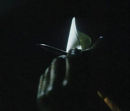 Fig 149 Romilly explaining wormholes Left He bends a sheet of paper - фото 125