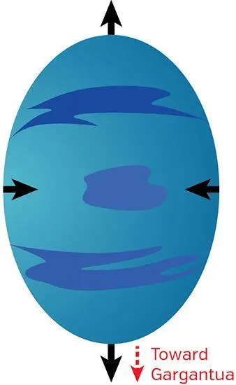 Fig 173 Tidal deformation of Millers planet If Millers planet were to - фото 149