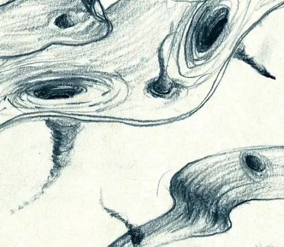 Fig 269 Lia Hallorans fanciful drawing of several black holes with - фото 232