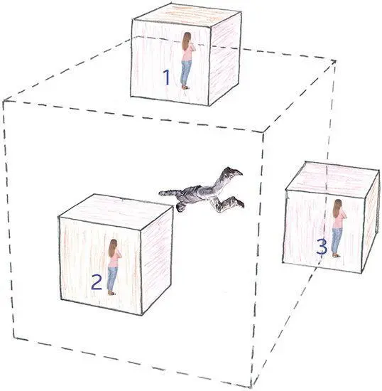 Fig 299 The size of Coopers chamber enlarged threefold so the six bedrooms - фото 271