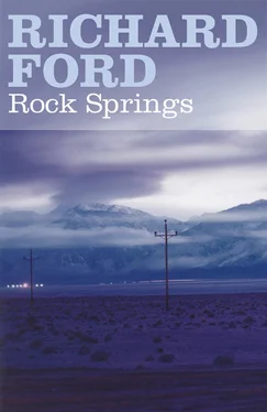 Richard Ford Rock Springs обложка книги