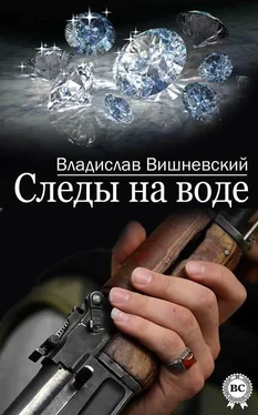 Владислав Вишневский Следы на воде обложка книги