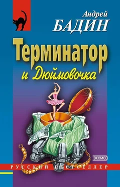Андрей Бадин Терминатор и Дюймовочка обложка книги