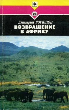 Дмитрий Горюнов Возвращение в Африку обложка книги