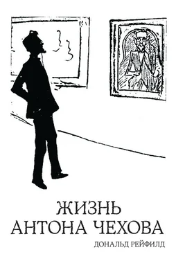 Дональд Рейфилд Жизнь Антона Чехова обложка книги
