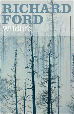 Richard Ford Wildlife обложка книги