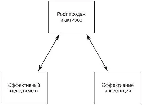 Рис 15 Факторы обеспечивающие рост прибыльных продаж и активов Такое - фото 6