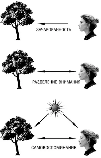При этом оно полностью отдано объекту внимания Такое состояние не позволяет - фото 5