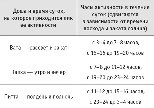 Смена преобладающей доши в организме происходит каждые четыре часа - фото 4