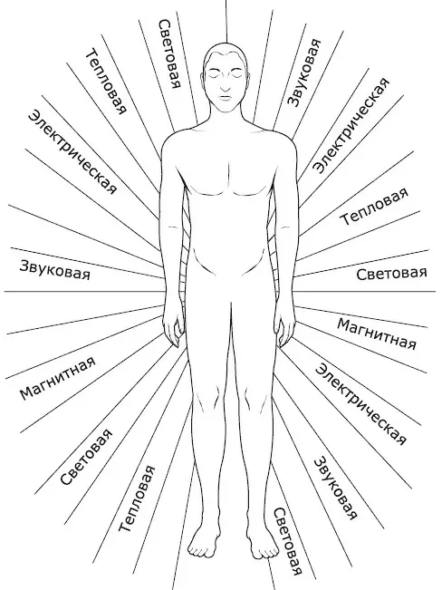 Энергетические эманации физического тела Существуют различные энергетические - фото 3