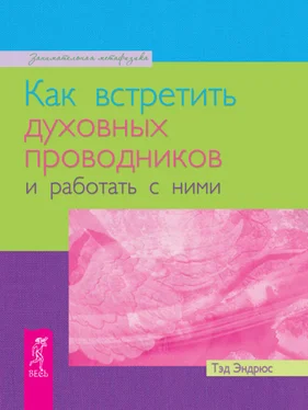 Тэд Эндрюс Как встретить духовных проводников и работать с ними обложка книги