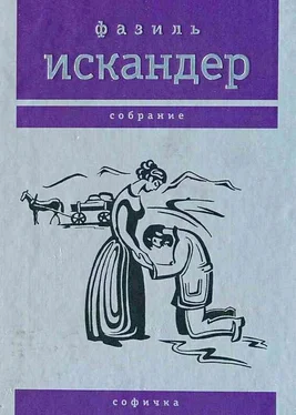 Фазиль Искандер Софичка обложка книги