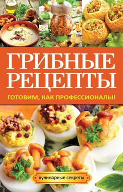 Анастасия Кривцова Грибные рецепты. Готовим, как профессионалы! обложка книги