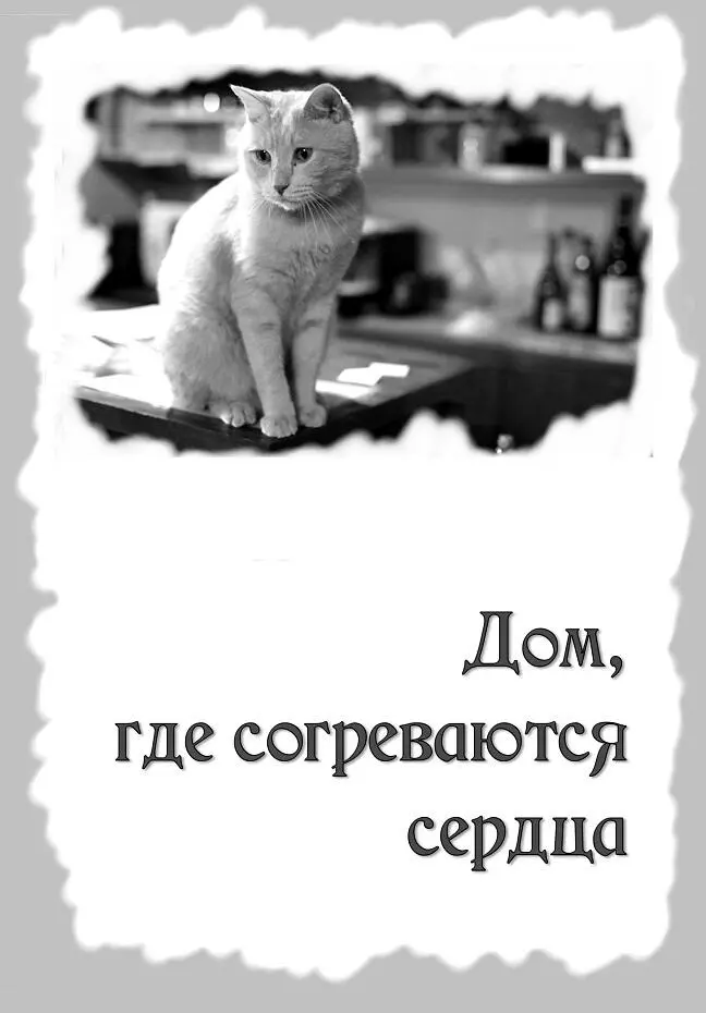 I КАФЕ Каждому своё В эту ночь мне отчегото совсем не спалось Всё - фото 9