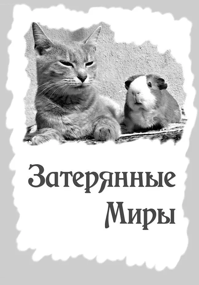Вы помните мы с вами уже встречались в книге Кот из Датского - фото 6
