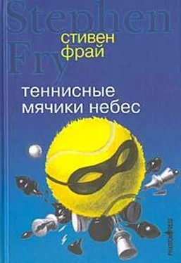 Стивен Фрай Теннисные мячики небес обложка книги