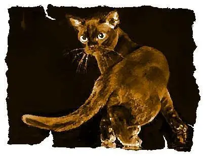 История Серафима о том как он дошёл до жизни такой то есть стал бомжом - фото 25