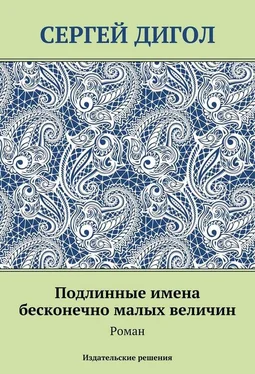 Сергей Дигол Подлинные имена бесконечно малых величин обложка книги