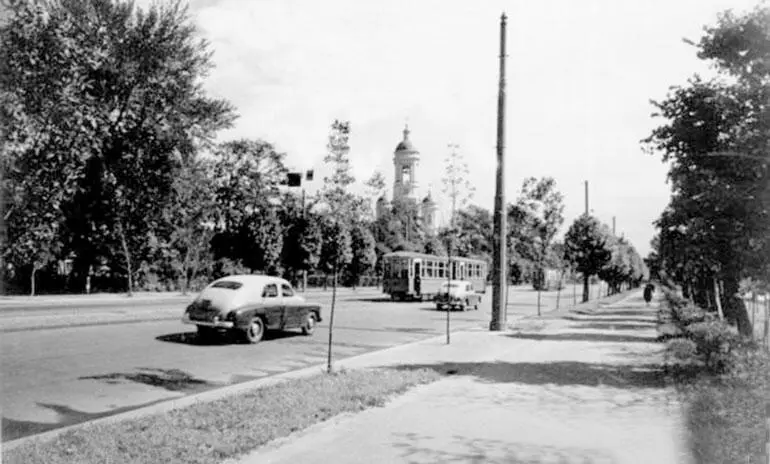 Проспект Добролюбова Справа городские питомники Фото 1950х годов Этапов - фото 9