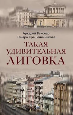 Аркадий Векслер Такая удивительная Лиговка обложка книги