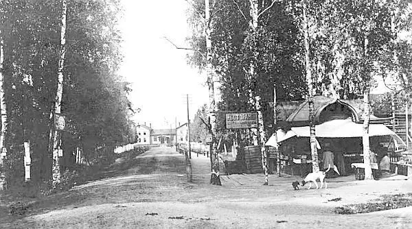 Лахта Вокзальная улица 1900е годы Если вы решили прогуляться по берегу от - фото 112