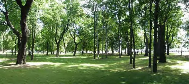 Петровский парк Курсант первого курса Алексей Игольников сжимая автомат как - фото 9