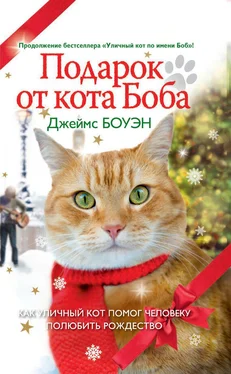 Джеймс Боуэн Подарок от кота Боба. Как уличный кот помог человеку полюбить Рождество обложка книги