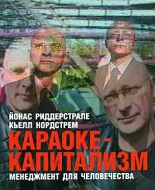 Йонас Риддерстрале Караоке-капитализм. Менеджмент для человечества обложка книги