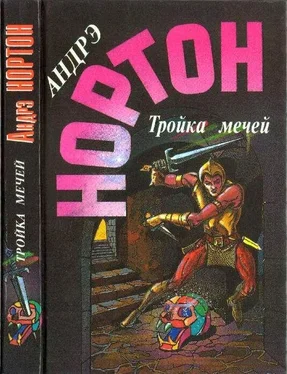 Андрэ Нортон Тройка мечей: Пояс из Леопарда. Тройка Мечей обложка книги