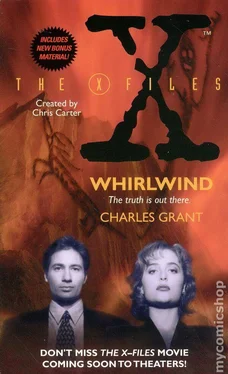 Charles Grant Whirlwind обложка книги